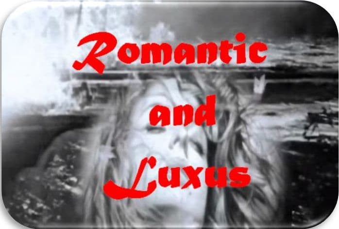 Partnerschaftszeremonie